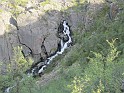 kesä 2011 336